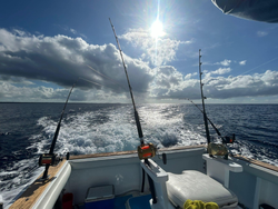 Saltwater therapy in the Dominican Republic!